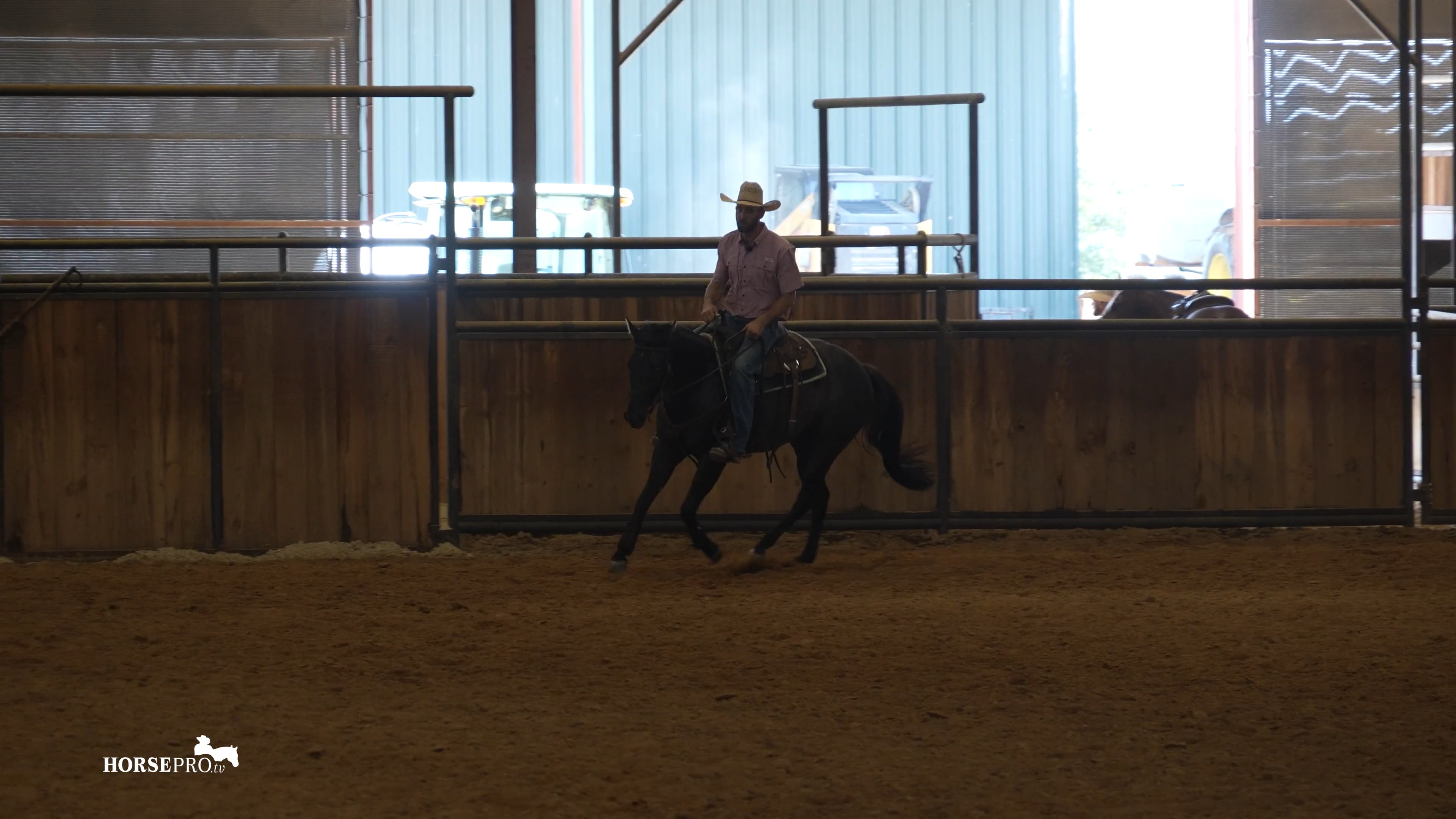 Episode 16: Starting Run Downs on a Young Horse