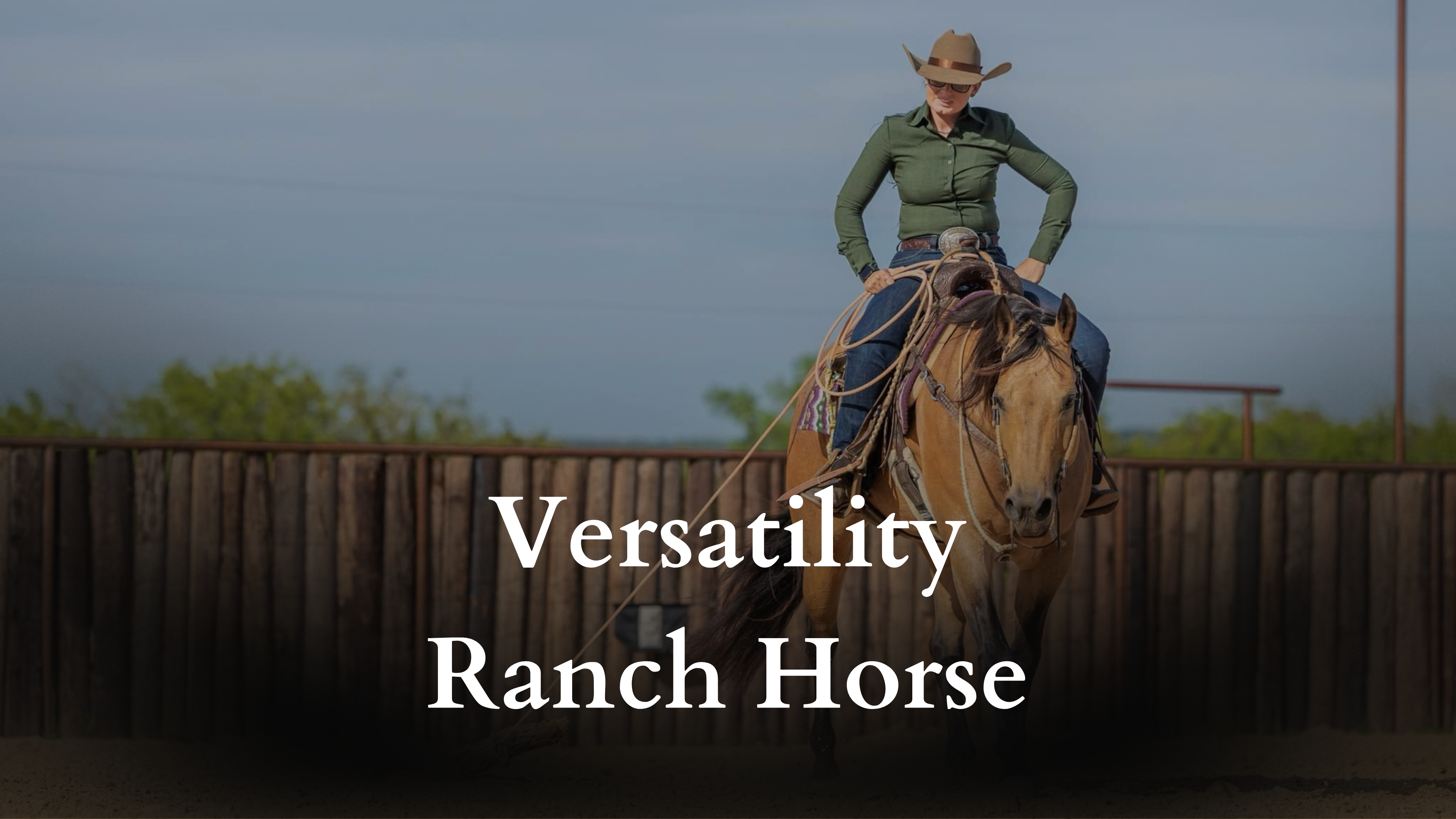 Versatility Ranch Horse