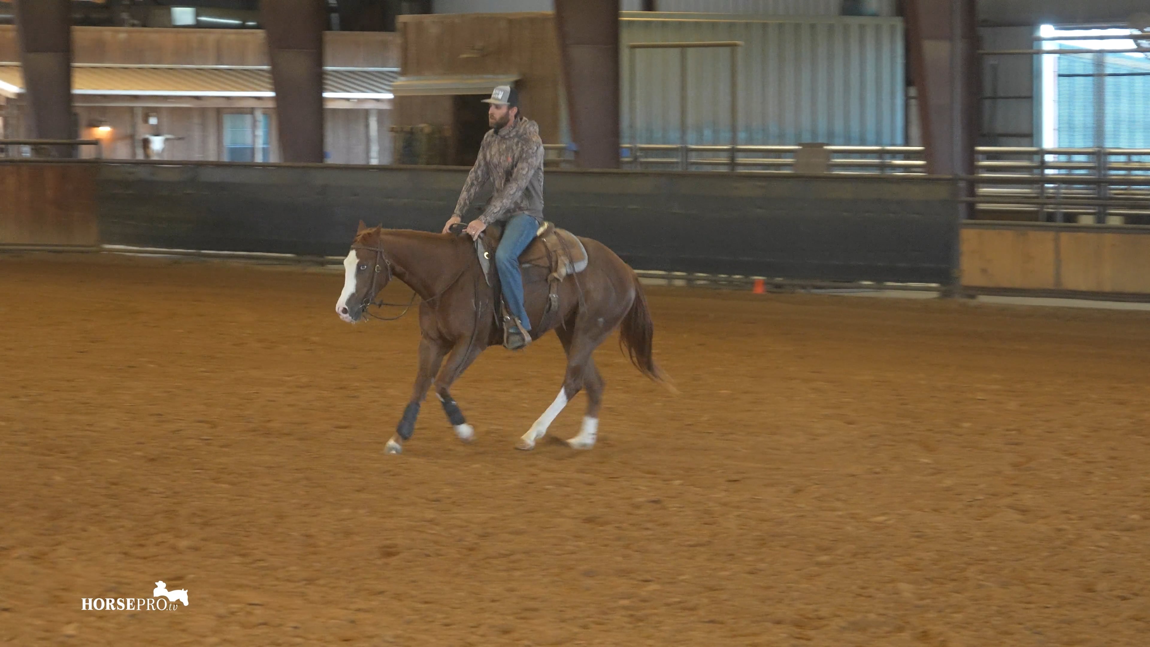 Episode 5: Getting More Roundness on a Lower Headed Horse