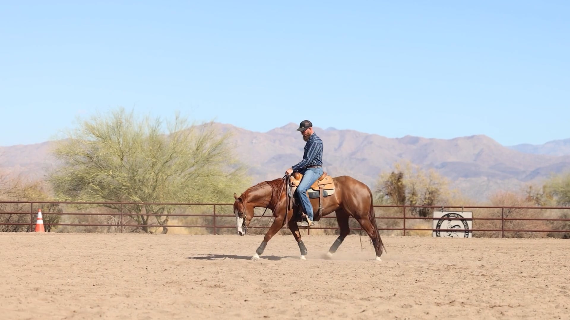 Episode 4: Steering with Flex