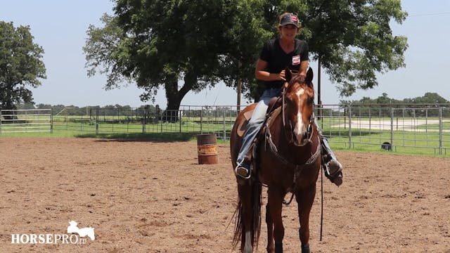 Ashley Schafer Working Chip