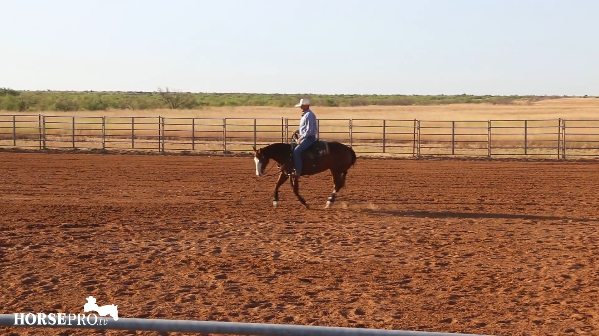 Reining Tune Up Tying the Face to the Feet