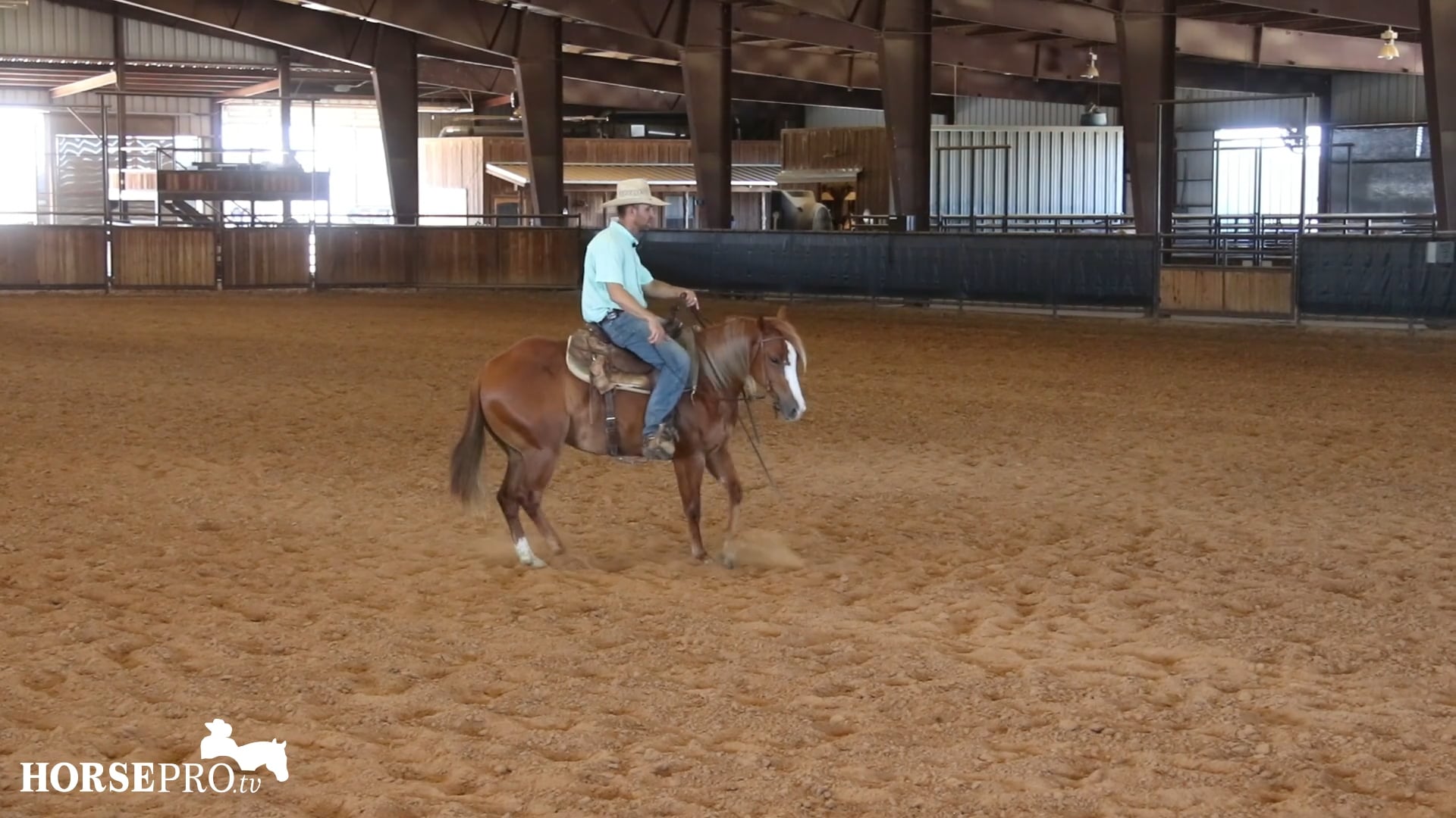 Episode 22: Turn Arounds on a Young Horse that Wants to Suck Back