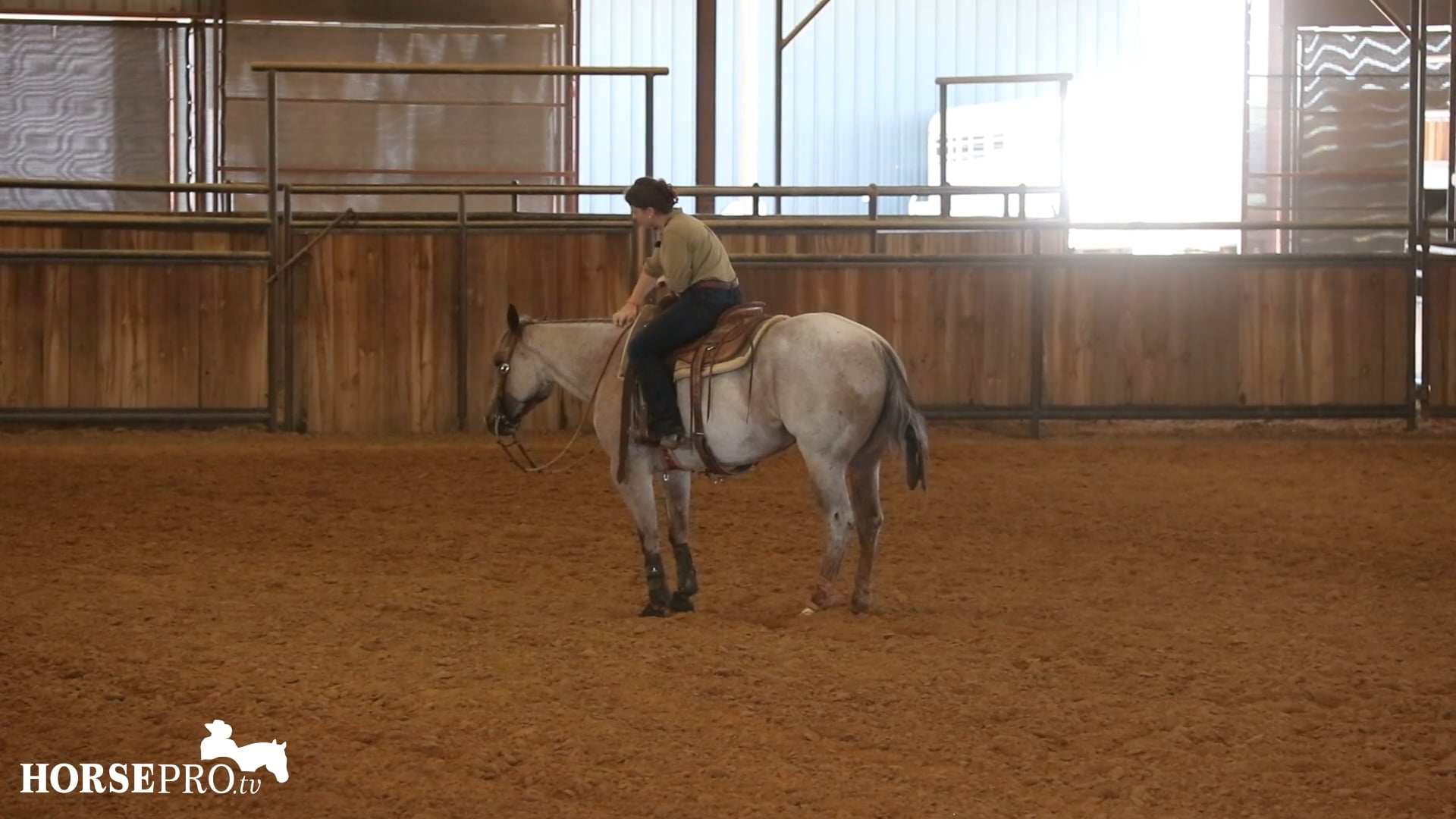 Episode 21: Fencing a Bridle Horse