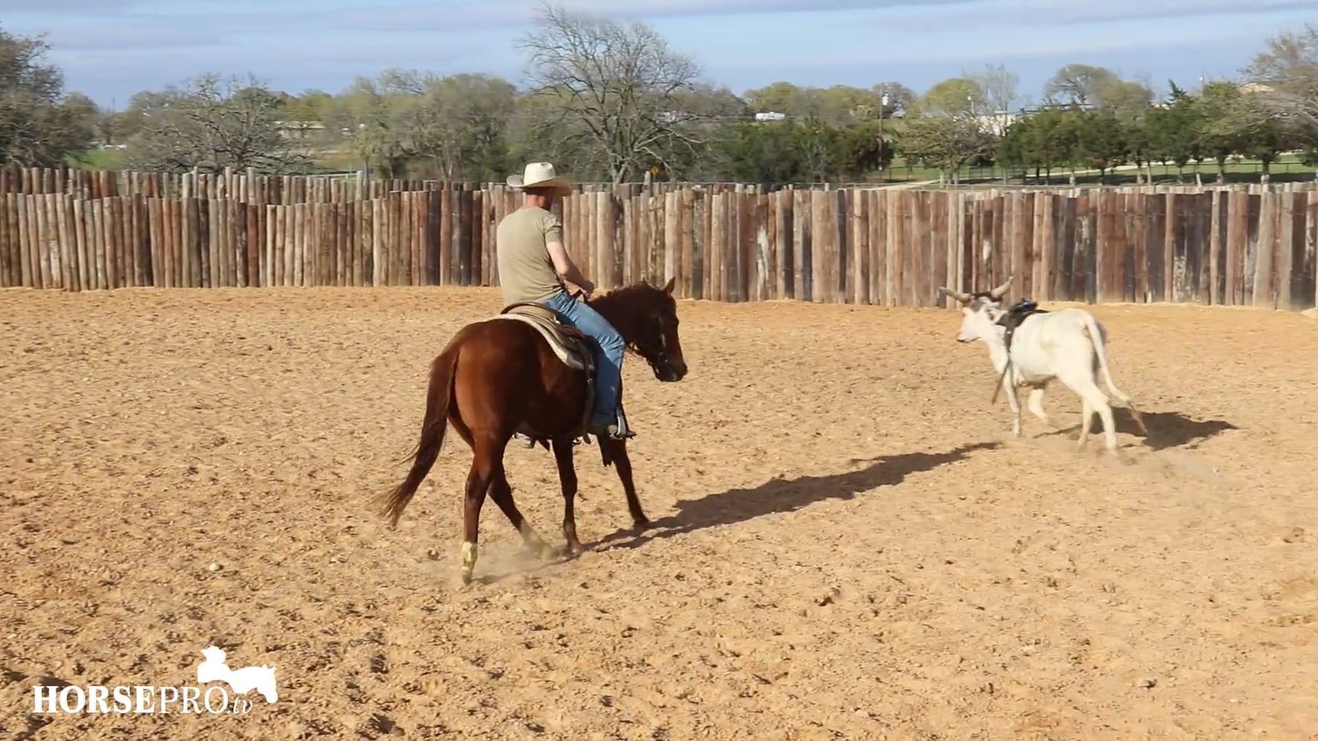 Episode 10: Macie and Queen L Week 9 of 2 Year Old Year