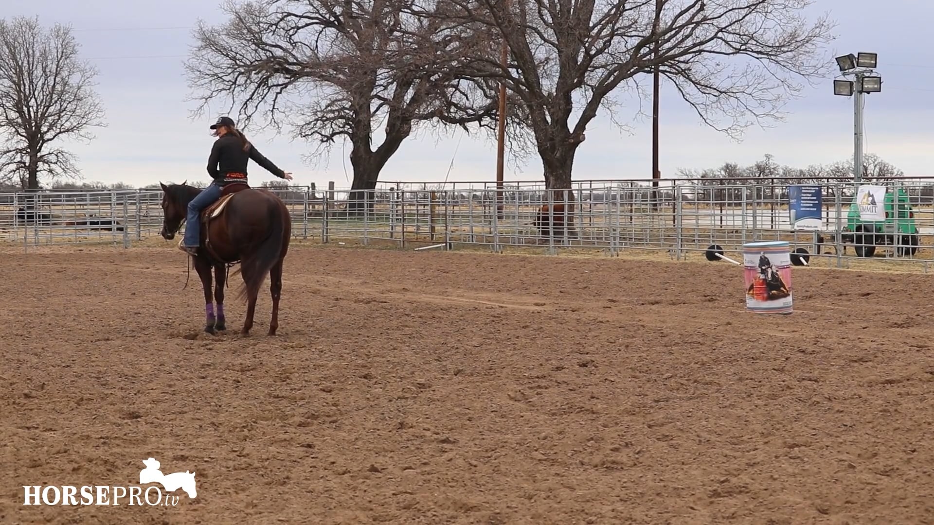 Ashley Working Harley