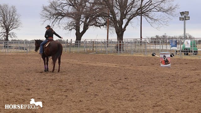 Ashley Working Harley