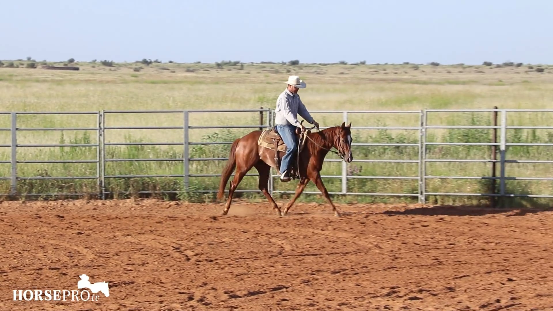Evaluating a Two Year Old for Cowhorse