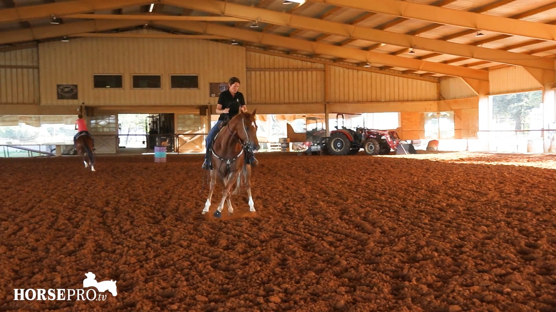 Episode 22: Keeping an Older Horse Tuned Up
