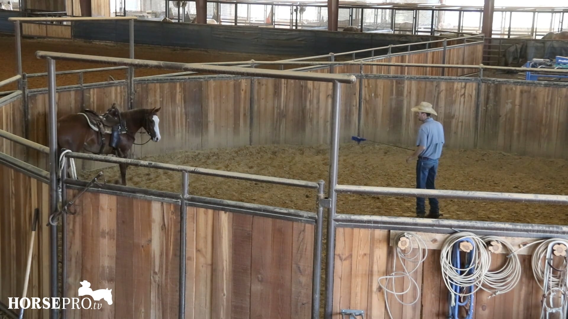 Episode 18: Groundwork to Help Get a Horse Soft