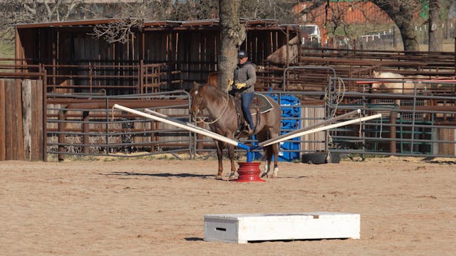 Introducing a Horse to Obstacles