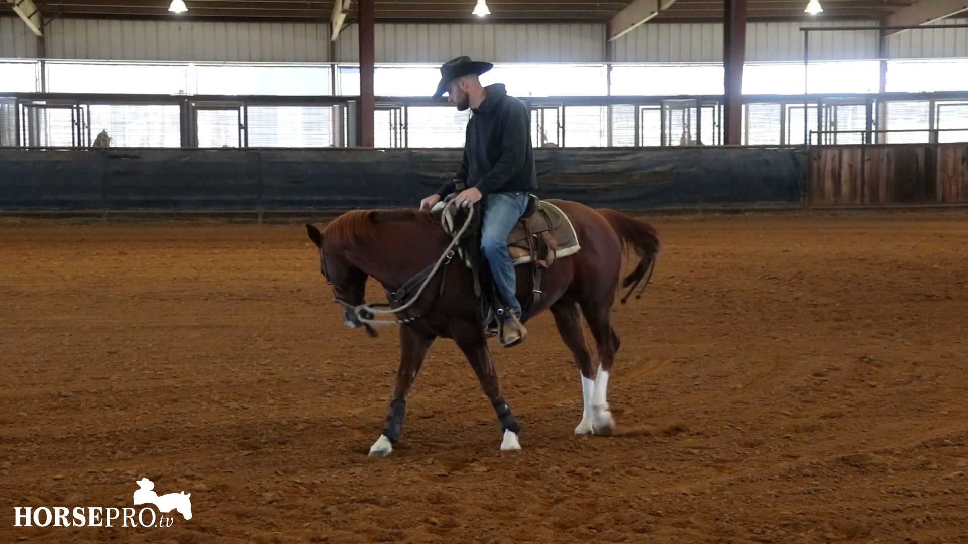Episode 25: After Futurity/Off Season Training Plan