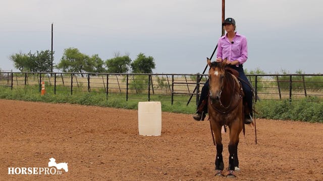 Getting a Horse to Get Around the Bar...