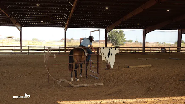Episode 7: Introducing Trail Obstacle...