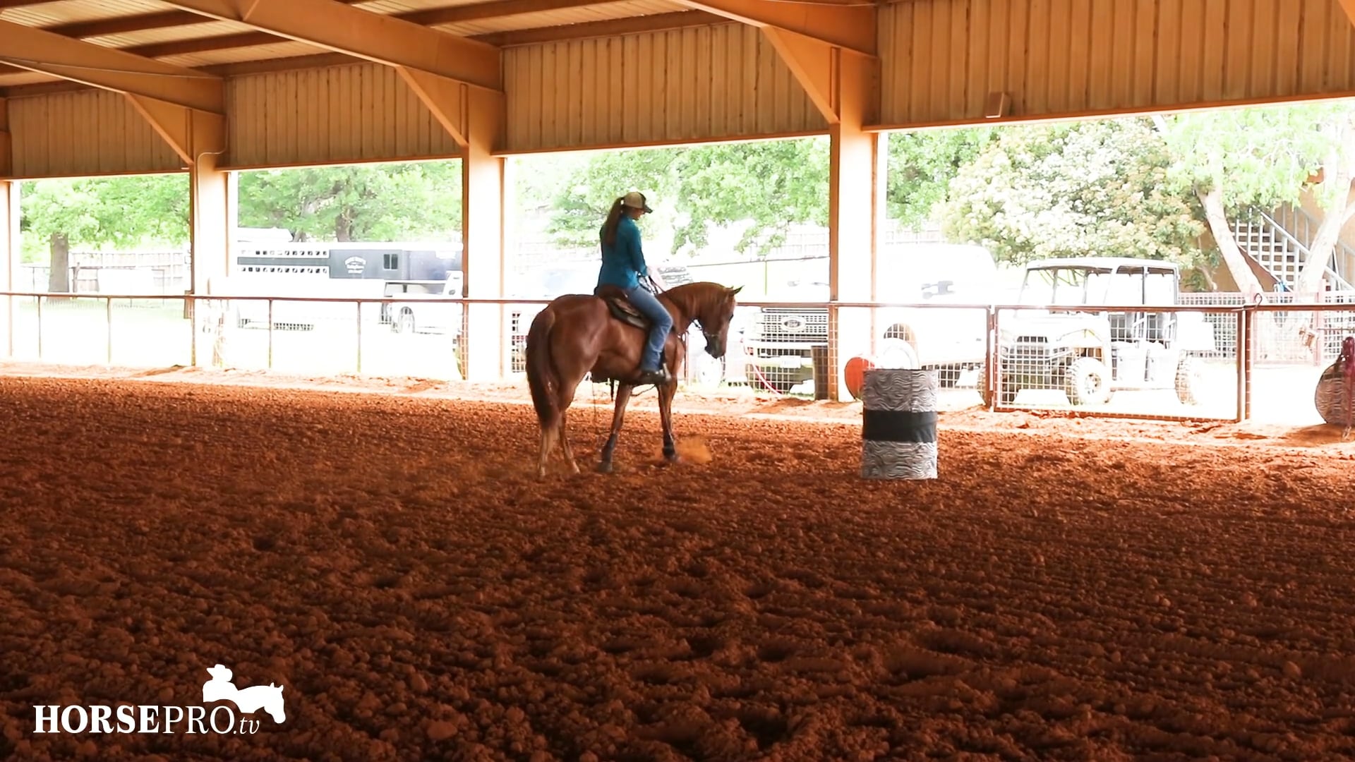 Bringing a Futurity Horse Back After Time Off