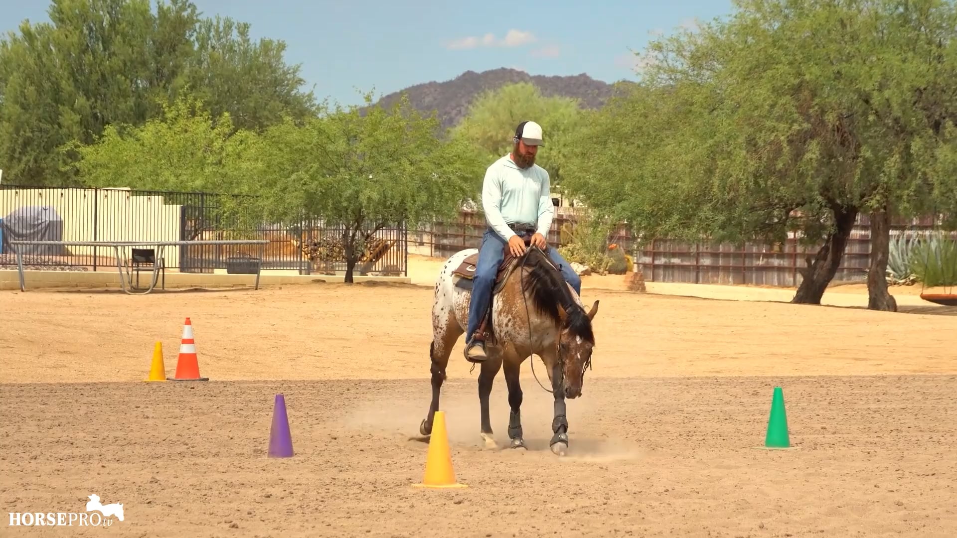 Episode 18: Freeing Up the Feet in Turns