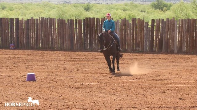Using Cones to Help Set Up Reining Ci...
