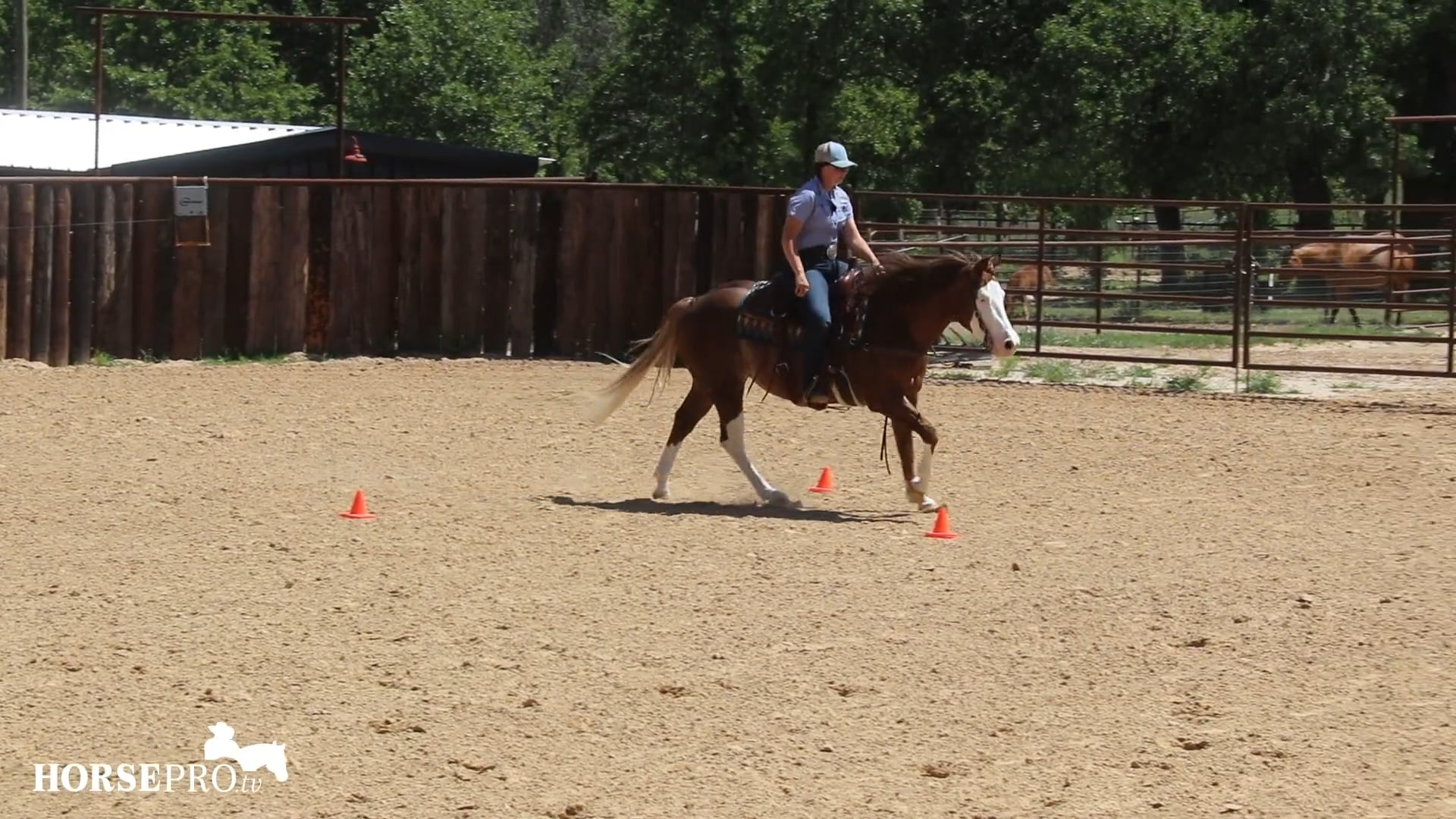 Episode 10: Warming up for Trail