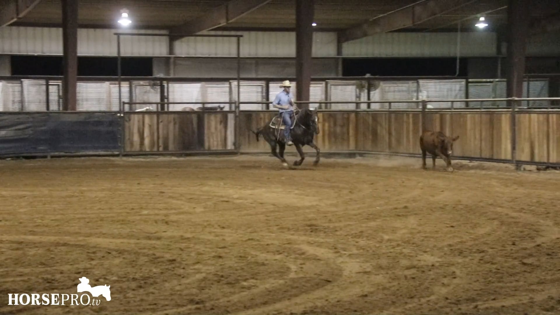 Episode 21: Working a Cow on a Horse Starting in the Bridle