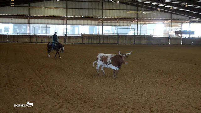 Episode 4: Making a Horse Responsible...