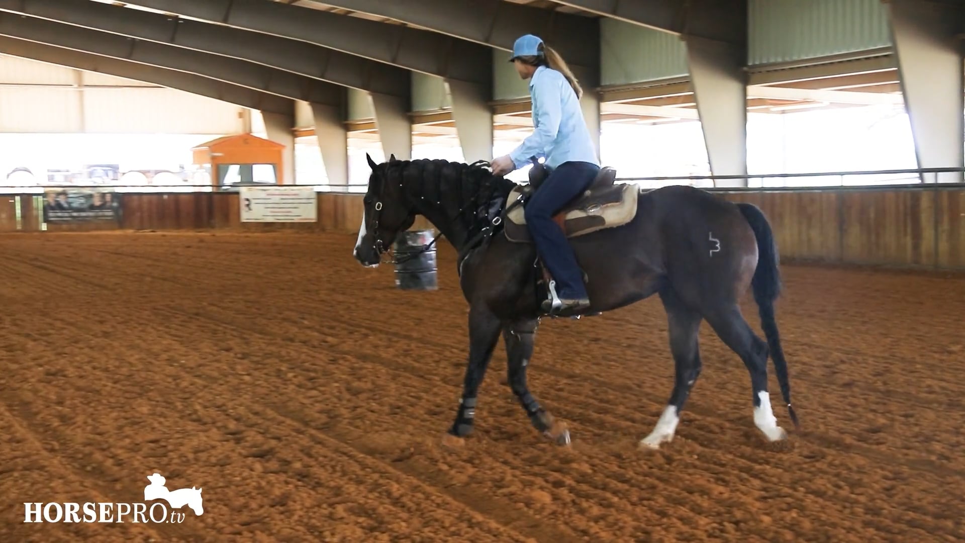 Working a Green and Hot Minded Horse