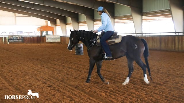 Working a Green and Hot Minded Horse
