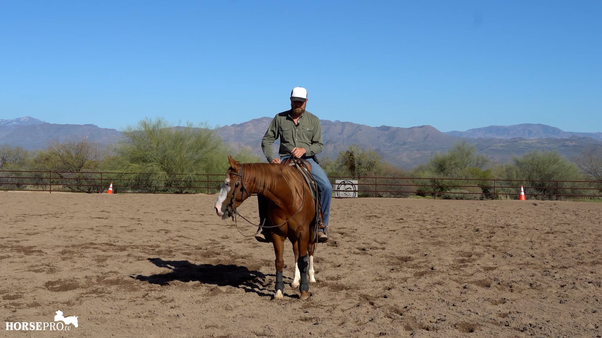 Episode 5: Steering and Circling