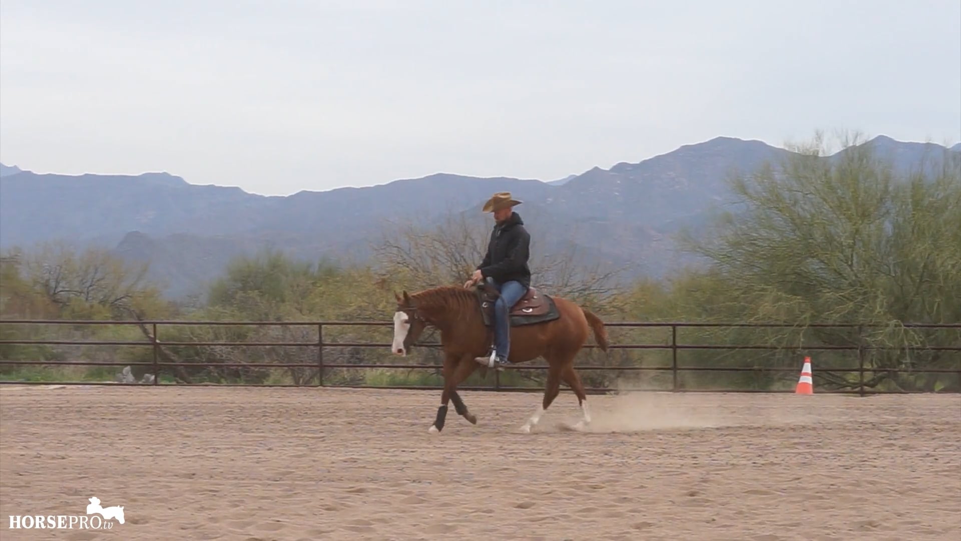 Episode 7: Steering at the Lope with a Young Horse