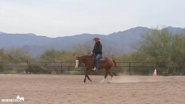 Episode 7: Steering at the Lope with ...