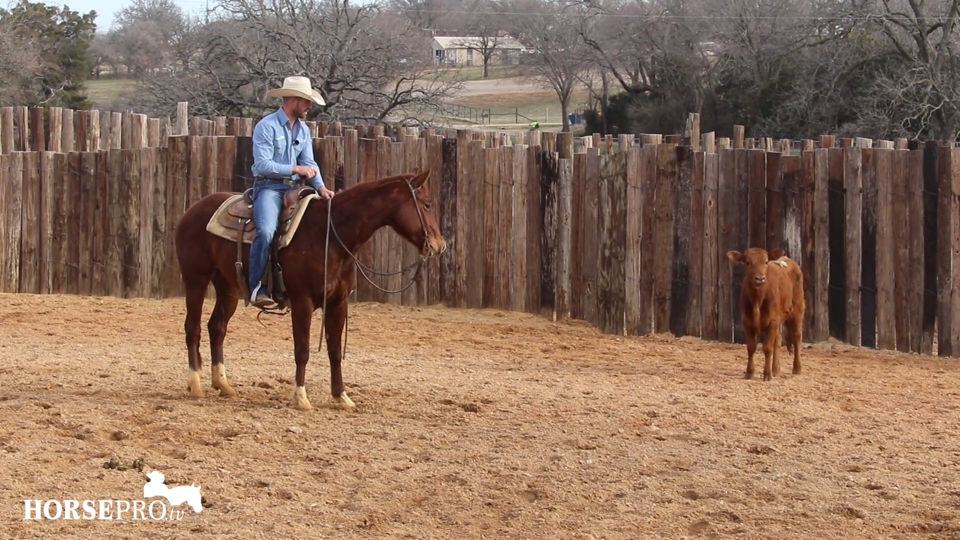 Episode 7: Ranch Mare Week 7 of 3 Year Old Year / Queen L Week 7 of 2 Year Old Year