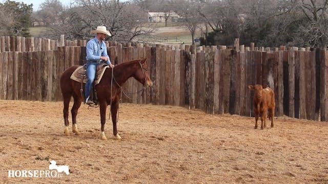 Episode 7: Ranch Mare Week 7 of 3 Yea...