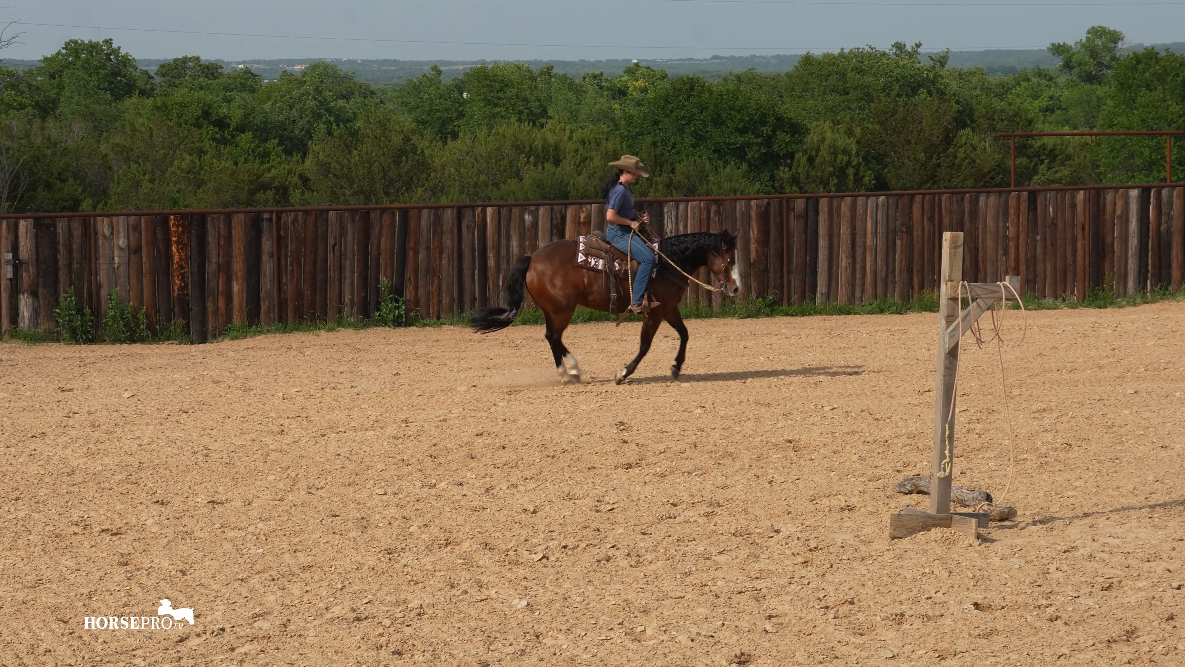Episode 5: Warming up a Nervous Horse