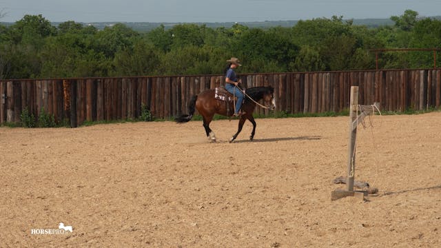 Episode 5: Warming up a Nervous Horse