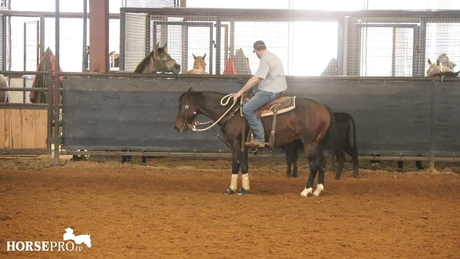 Episode 6: Fence Work on a 3 Year Old that Has Gotten Tight on a Cow