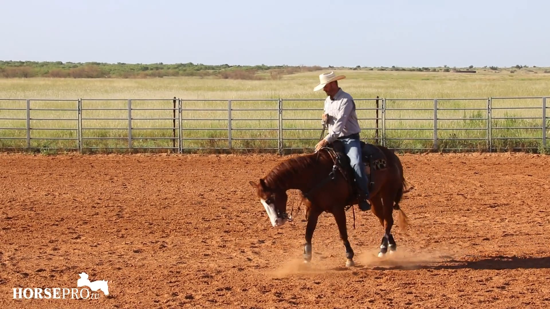 Taking a Reiner to Ranch Versatility