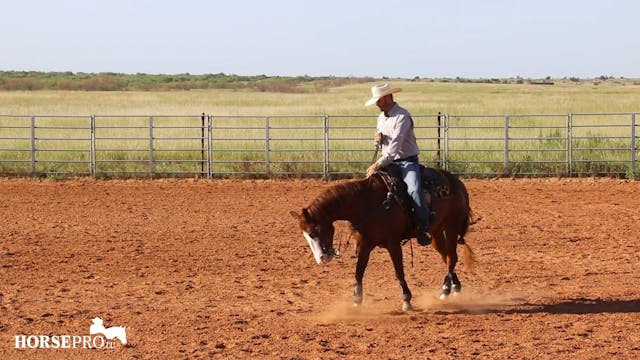 Taking a Reiner to Ranch Versatility