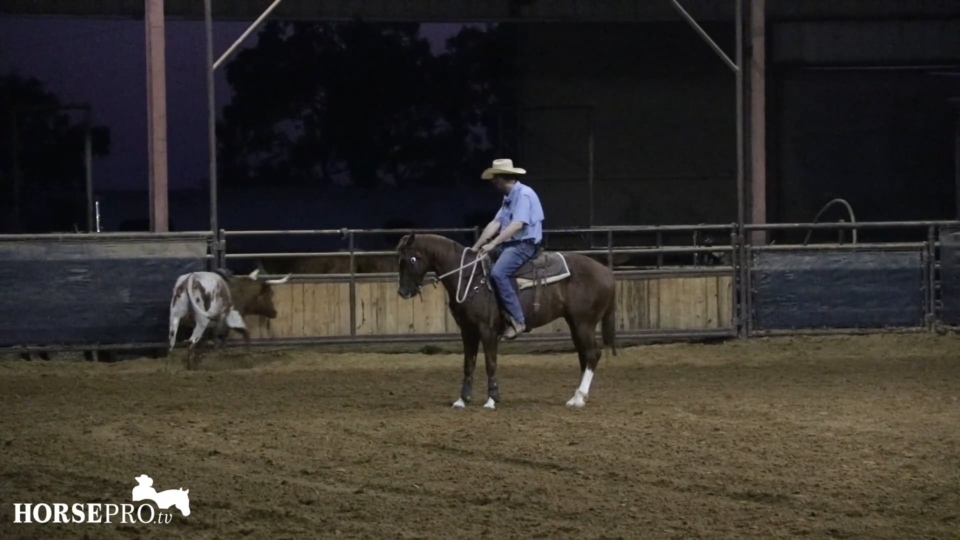 Episode 22: Building Confidence in a Horse