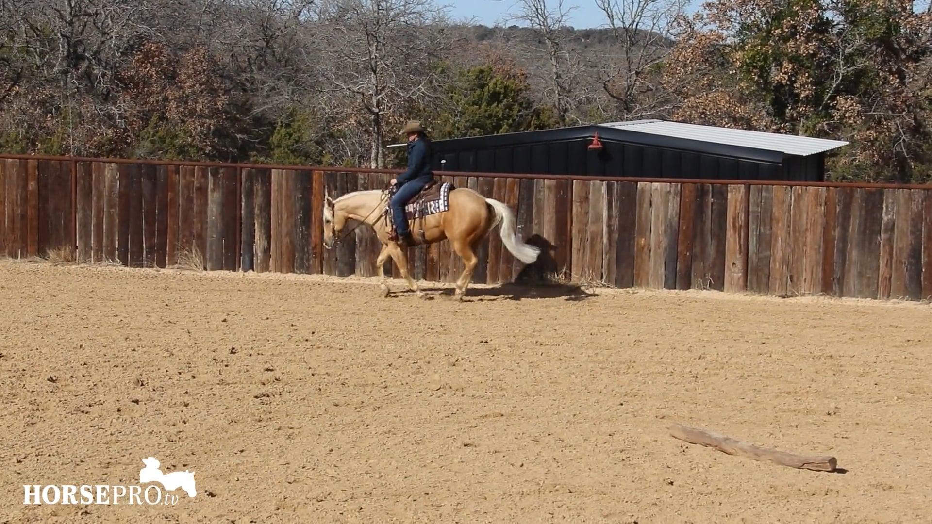 Episode 1: Evaluating a New Horse