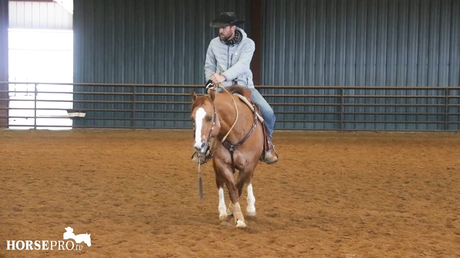 Episode 2: Moving a Horse Away from a Cow in Boxing