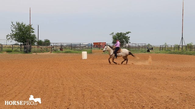 Warm Up and Getting a Horse Lighter o...