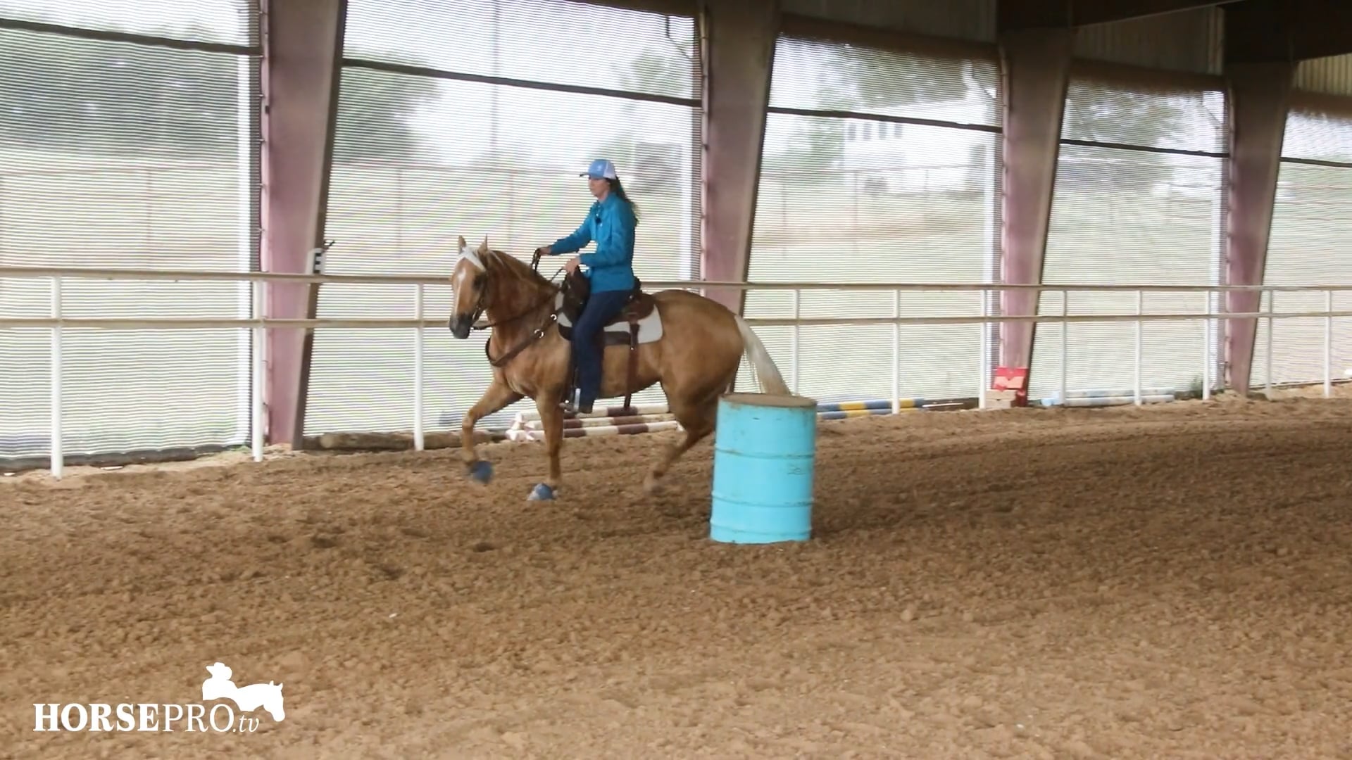 Stepping Up a Horse and Getting it to Extend the Stride