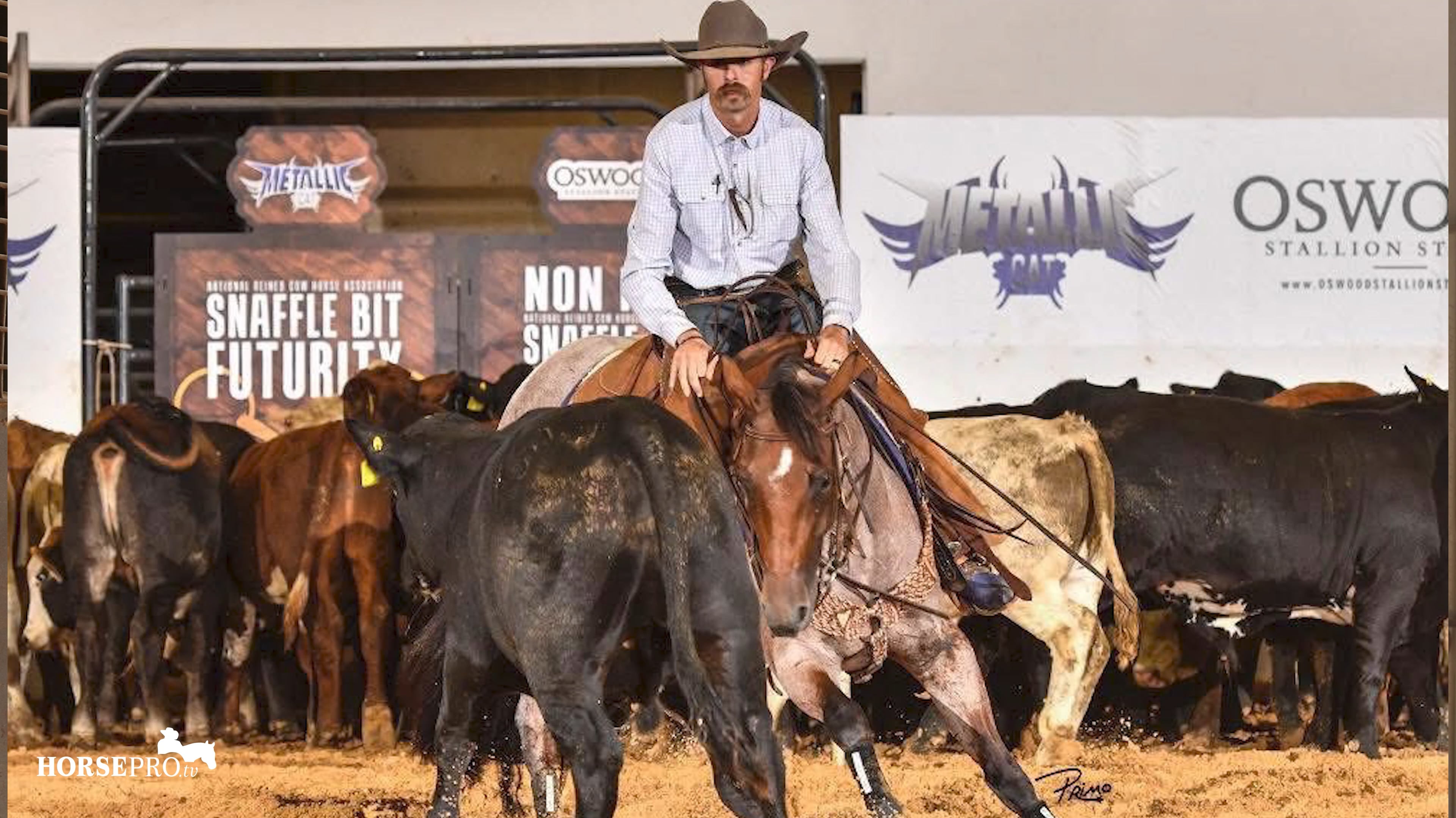Interview with NRCHA Trainer Logan Cotten