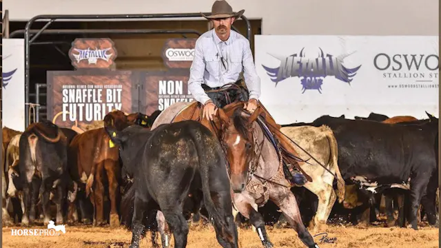 Interview with NRCHA Trainer Logan Co...