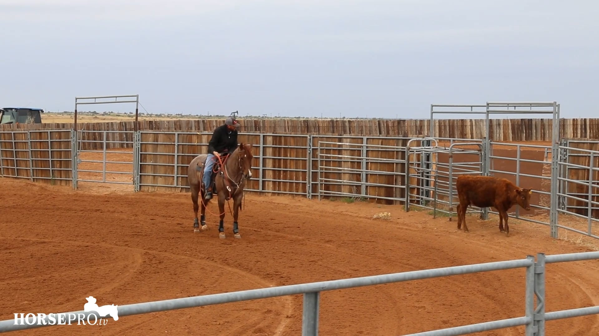 Using Roping to Work a Cowhorse
