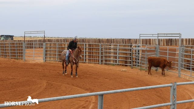 Using Roping to Work a Cowhorse