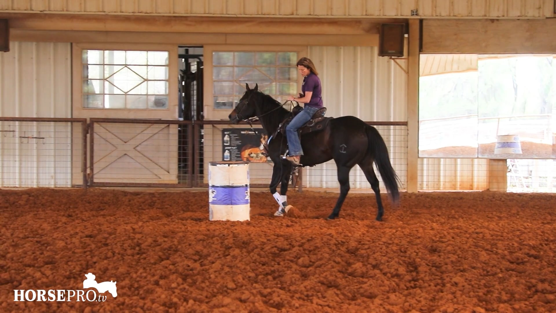 Episode 8: Working a Horse that Tends to Get Stiff in the Hips