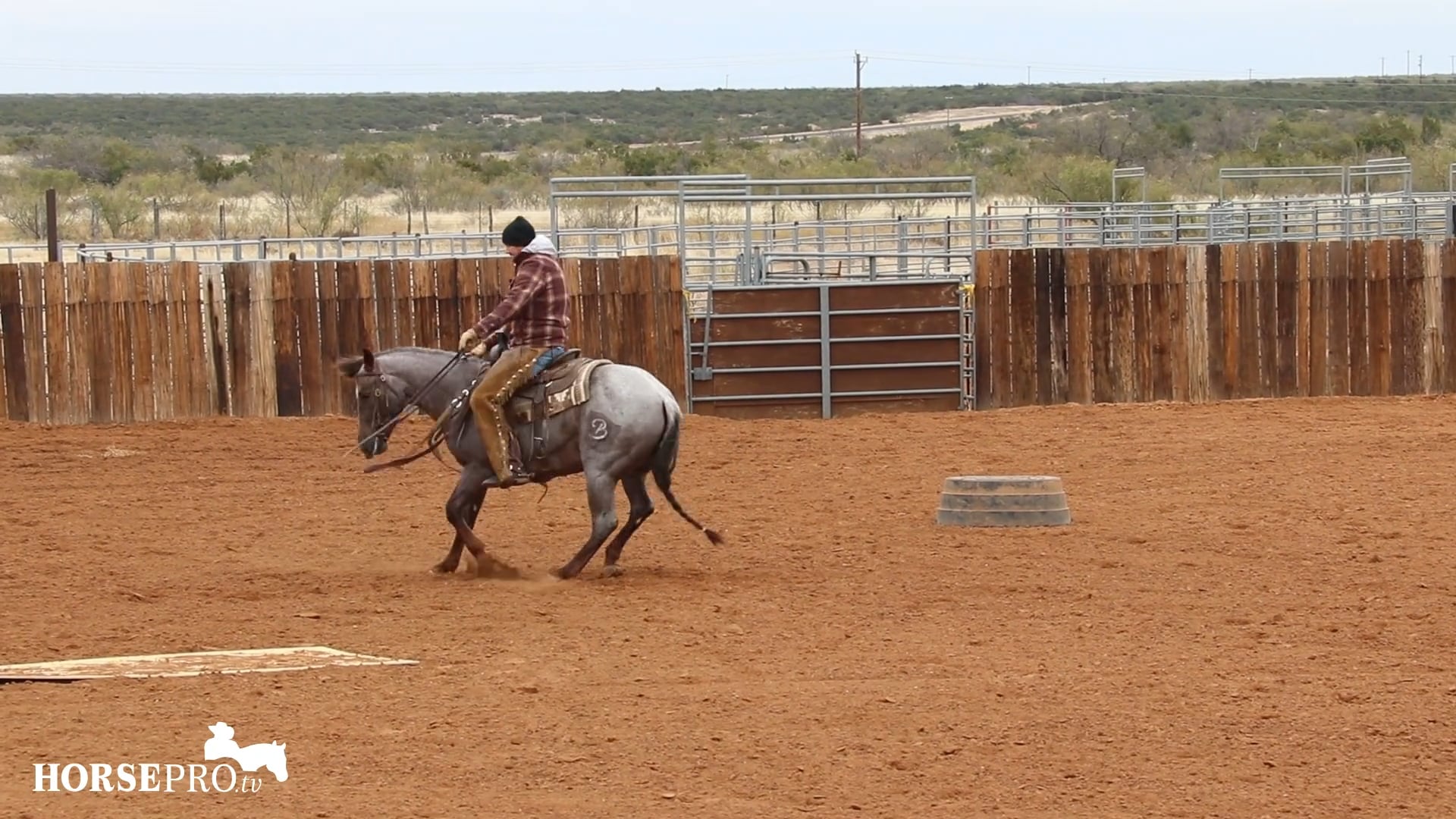 Spins and Lope Departures with a Young Horse