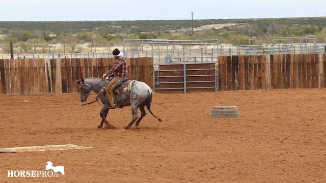 Spins and Lope Departures with a Youn...