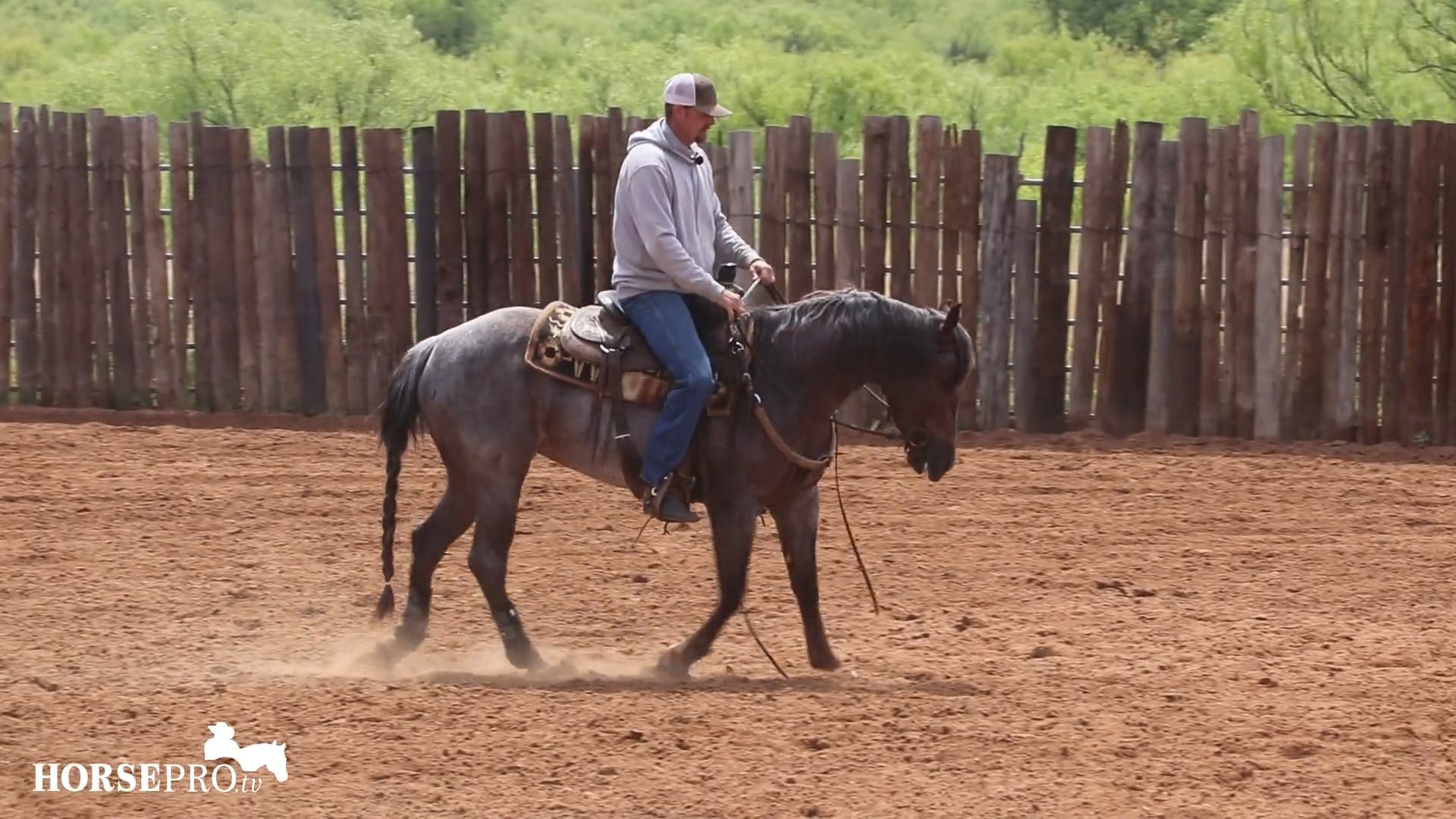 Working a Stiff Snaffle Bit Prospect Part 2