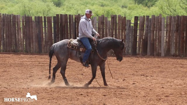 Working a Stiff Snaffle Bit Prospect ...